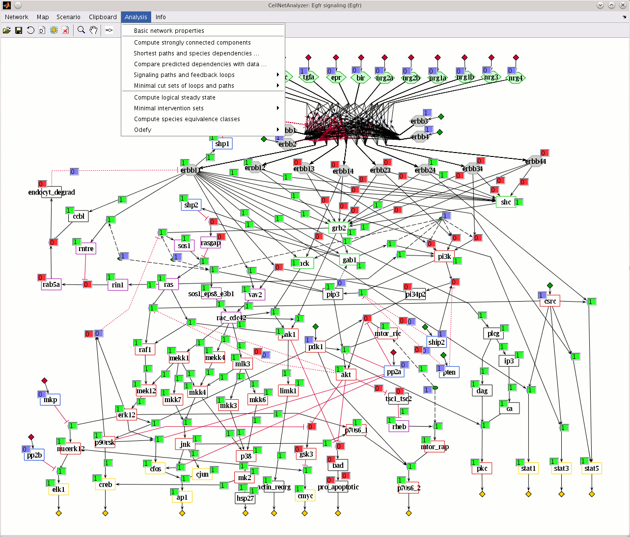 influence graphs / boolean networks in CellNetAnalyzer